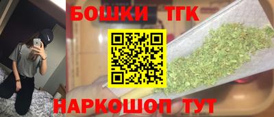 тгк Гай