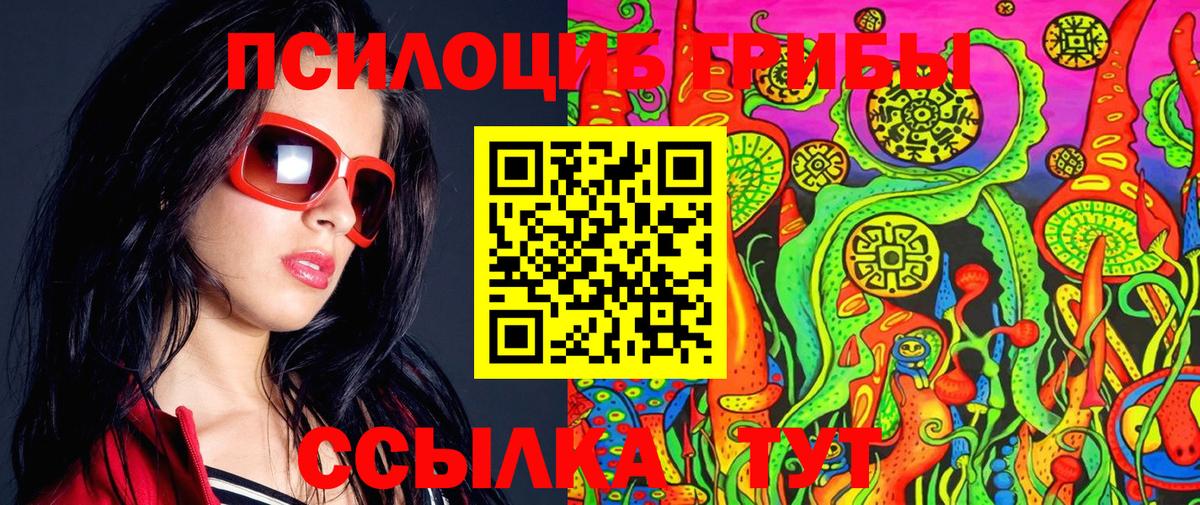Мичуринск  Галлюциногенные грибы Cubensis  Вход с VPN 