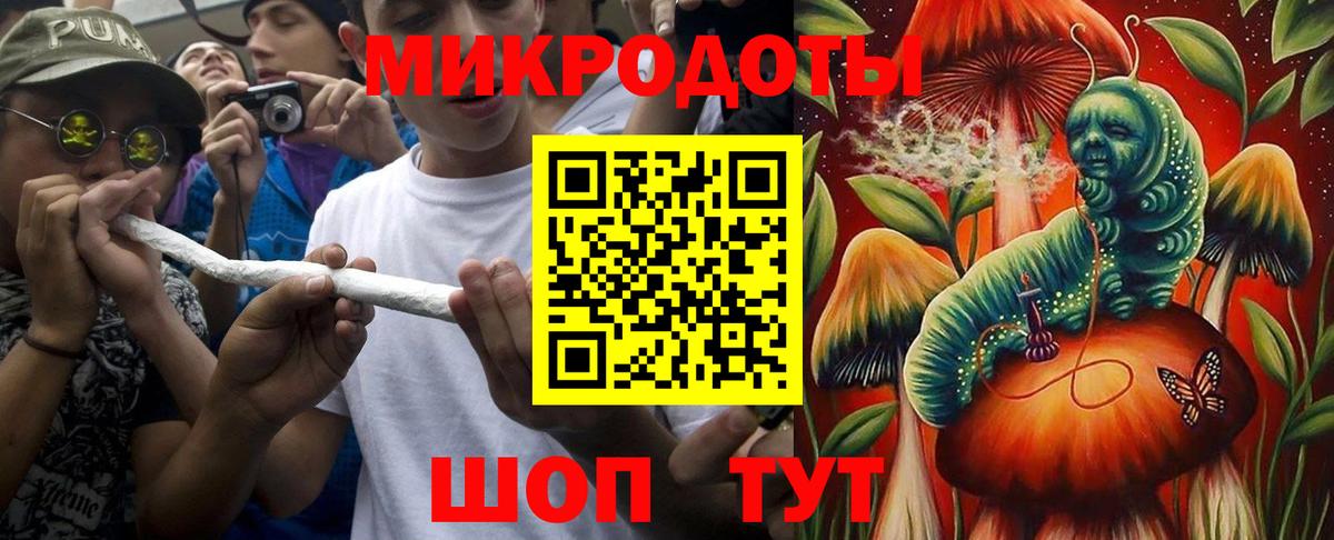 Галлюциногенные грибы Psilocybine cubensis Мичуринск